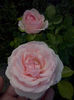 CAM01676