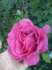 CAM01683