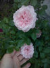 CAM01686