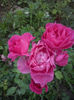 CAM01688