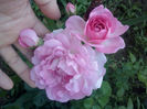 CAM01690