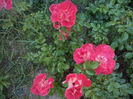 CAM01692