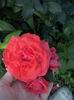 CAM01694