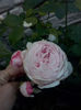 CAM01698
