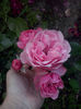 CAM01699