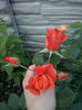 CAM01707