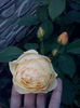CAM01711