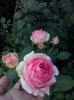 CAM01712