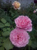 CAM01722
