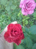 CAM01730