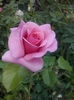 CAM01734