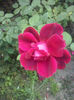 CAM01741