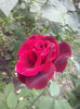 CAM01743
