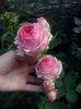 CAM01761