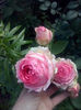 CAM01762