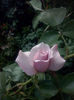 CAM01763