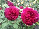 20180519_092939 - Copy