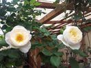 20180519_093158 - Copy