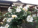 20180519_093257 - Copy