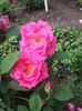 20180519_093657 - Copy