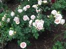 20180519_093743 - Copy