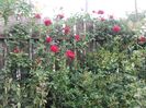 20180519_095027 - Copy
