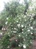 20180519_095556 - Copy
