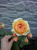 CAM01804