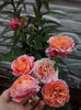 CAM01808
