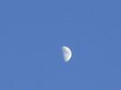 Primul patrar, Luna in Fecioara
