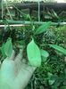 Pe verticala
