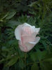 CAM01821