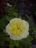 CAM01841