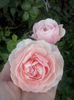 CAM01843