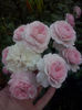 CAM01846