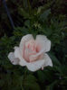 CAM01851