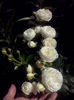 CAM01853
