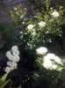 CAM01858