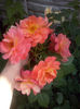 CAM01861