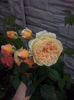 CAM01864