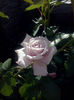 CAM01870