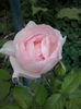 CAM01871