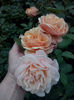 CAM01872