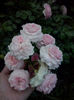 CAM01873