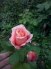 CAM01876