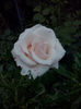 CAM01879