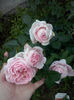 CAM01881