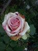 CAM01884