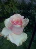 CAM01885