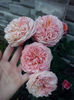 CAM01910